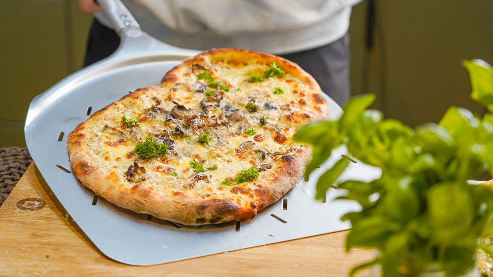 Trøffelpizza med svampe