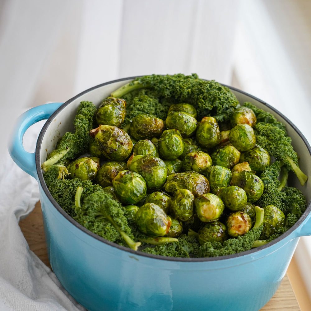 Stor gryde i emaljeret støbejern