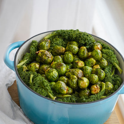 Stor gryde i emaljeret støbejern