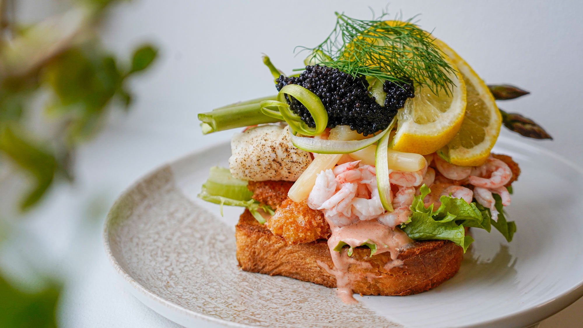 Stjerneskud anrettet på tallerken