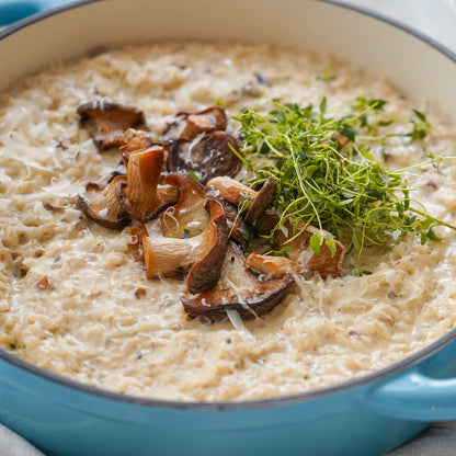 Emaljeret Støbejerns Sautergryde, 3,5 liter